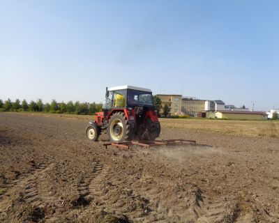 DSC02473 (Kopiowanie)