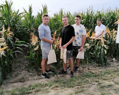 IMG_20230910_104039 (Kopiowanie)