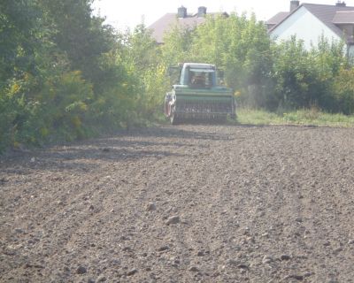 DSC02486 (Kopiowanie)