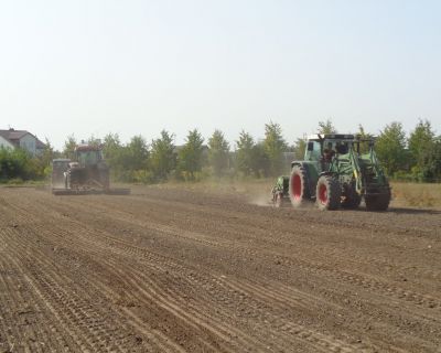 DSC02509 (Kopiowanie)