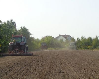 DSC02499 (Kopiowanie)