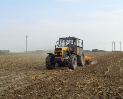 DSC02573 (Kopiowanie)