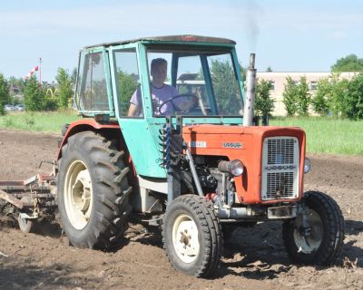 DSC_0479 (Kopiowanie)