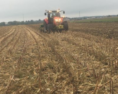 IMG_2495 (Kopiowanie)