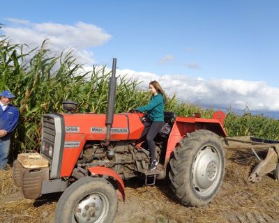 DSC02527 (Kopiowanie)