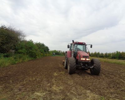 DSC03153 (Kopiowanie)