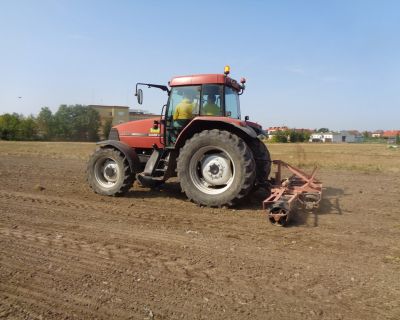 DSC02507 (Kopiowanie)