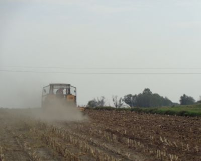 DSC02576 (Kopiowanie)