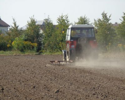 DSC02477 (Kopiowanie)