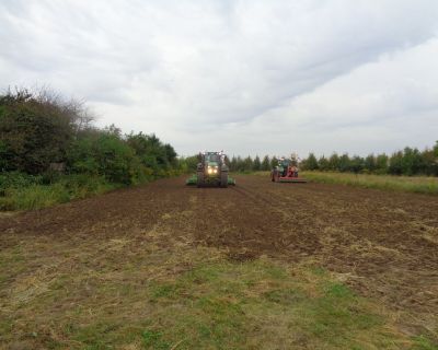 DSC03156 (Kopiowanie)