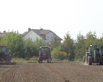 DSC02501 (Kopiowanie)