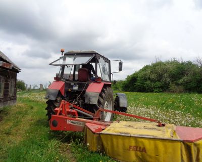 DSC01275 (Kopiowanie)