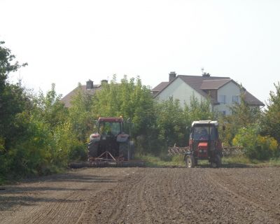 DSC02502 (Kopiowanie)