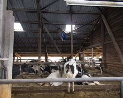 DSCN5753 (Kopiowanie)