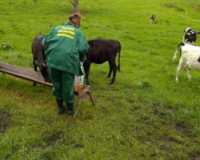 18622474_1416664818393250_4737182000513954837_n (Kopiowanie)