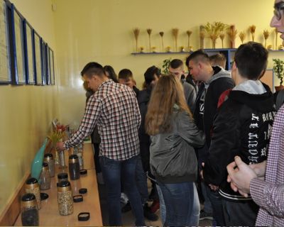 DSC_0480 (Kopiowanie)