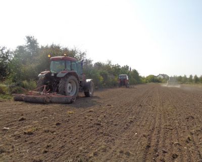 DSC02497 (Kopiowanie)