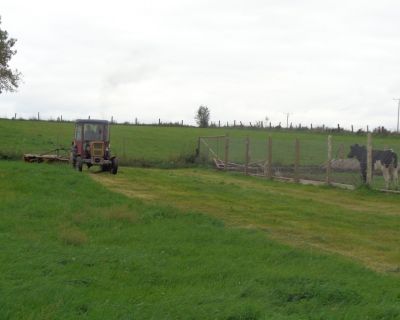 DSC03239 (Kopiowanie)