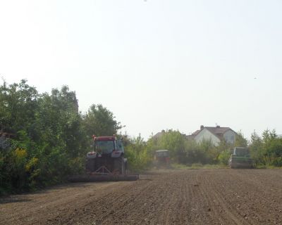 DSC02500 (Kopiowanie)