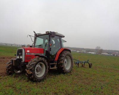 DSC01817 (Kopiowanie)