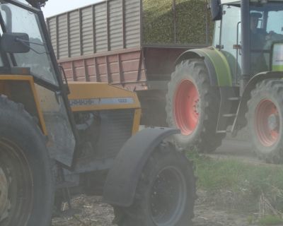 DSC02578 (Kopiowanie)