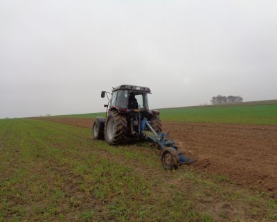 DSC01818 (Kopiowanie)