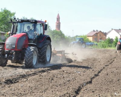 DSC_0475 (Kopiowanie)