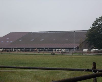 DSCN5731 (Kopiowanie)