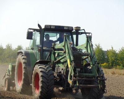 DSC02490 (Kopiowanie)