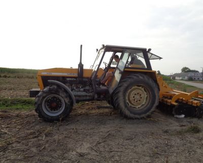 DSC02563 (Kopiowanie)