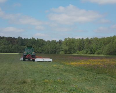 DSCN5111 (Kopiowanie)
