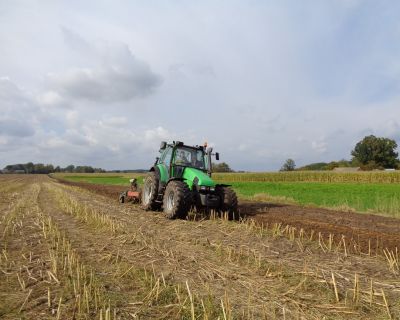 DSC03338 (Kopiowanie)