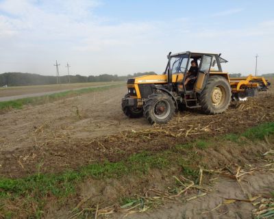 DSC02567 (Kopiowanie)