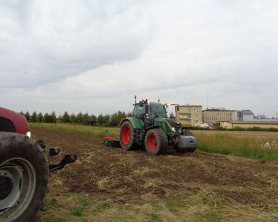 DSC03154 (Kopiowanie)