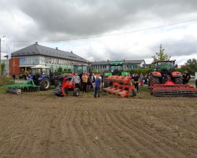 DSC04295 (Kopiowanie)