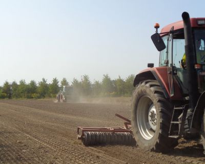 DSC02506 (Kopiowanie)