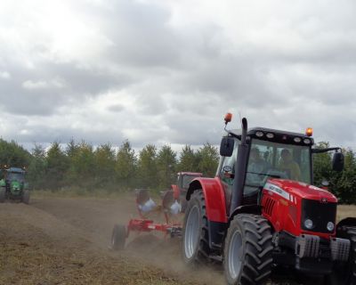 DSC04272 (Kopiowanie)