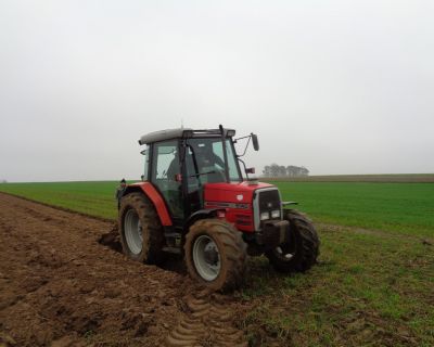 DSC01829 (Kopiowanie)