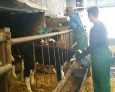 18740200_1420410144685384_8618464288229999706_n (Kopiowanie)