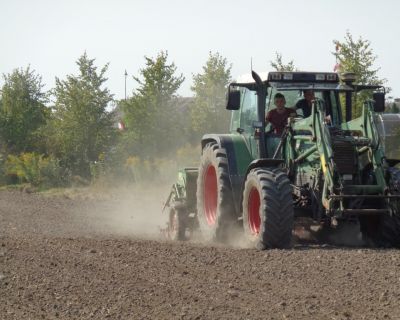 DSC02503 (Kopiowanie)