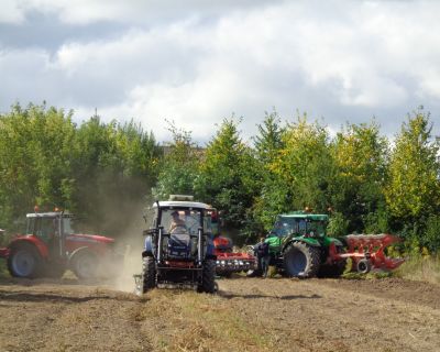 DSC04268 (Kopiowanie)