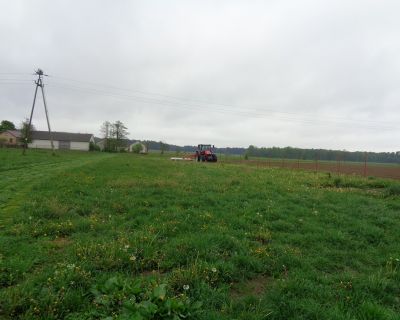 DSC01262 (Kopiowanie)