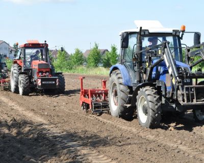 DSC_0509 (Kopiowanie)