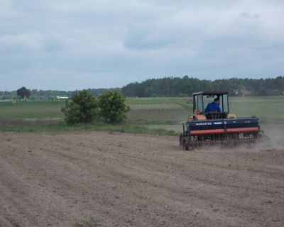 DSCN5152 (Kopiowanie)