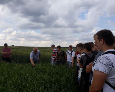 20190606_114747 (Kopiowanie)