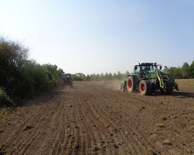 DSC02495 (Kopiowanie)