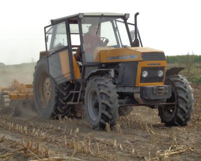 DSC02577 (Kopiowanie)