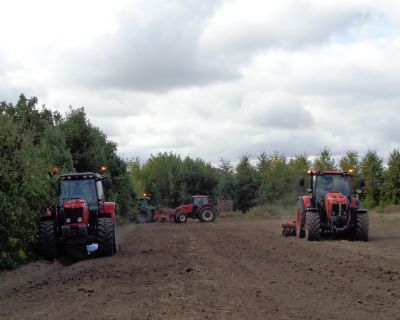 DSC04278 (Kopiowanie)