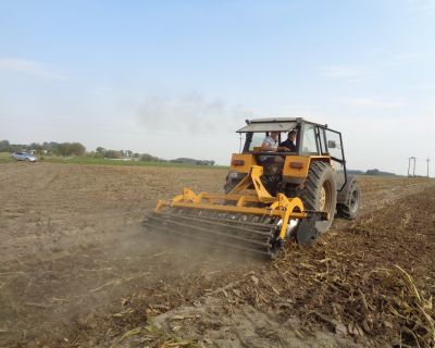 DSC02572 (Kopiowanie)