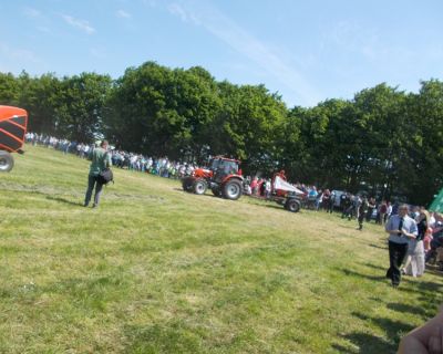 DSCN5053 (Kopiowanie)